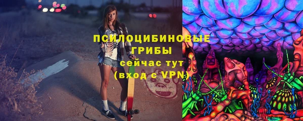 MDMA Белокуриха